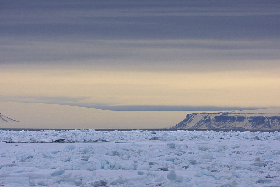 Svalbard