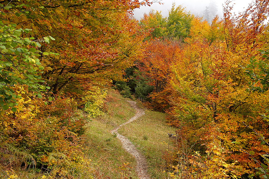 Herbst