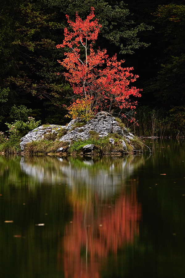 Herbst