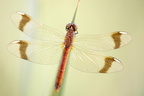 20100905193016 jl100502