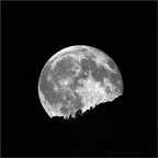 Full moon rises